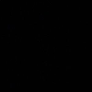 Meet your Posher, Trinity